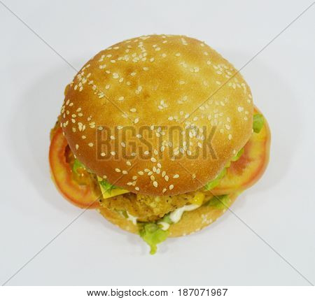 Tasty Chicken Burger on plain background - Can be used for websites, magazine, brochures or flyers
