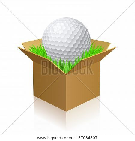 Golf Ball on Green Grass in a Carton Box