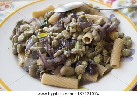 whole rigatoni with broad beans and tropea onions