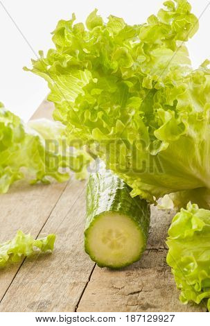 Fresh green Lettuce salad background close up