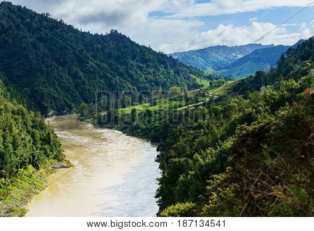 Panoramic beautiful scenery of Whanganui river road in National Park in Autumn Whanganui North Island of New Zealand