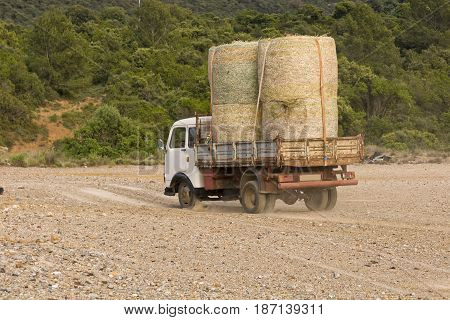 Old truck carries fodder rooftop in the countryside.