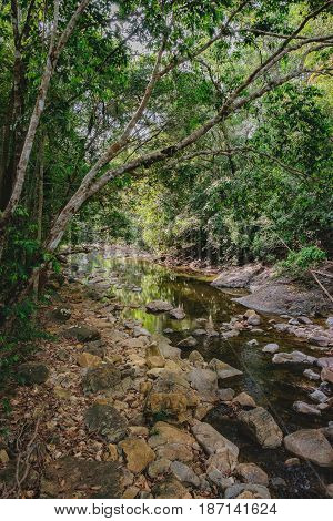 Small mountain stream in the shade of the tropical forest with snag tree in the foreground, Mu Koh Chang National Park, Thailand. View from the trail to the Khlong Phlu waterfall. Natural background.
