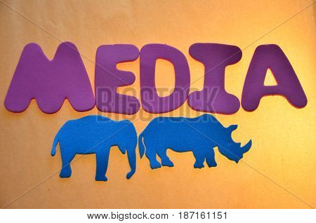 word medisa on a  abstract colorful background