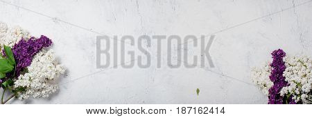 Bouquet Of White And Purpul Lilac On Concrete White Background