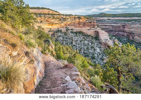 steep hiking trail descending into Ute Canyon in Colorado National Monument, morning spring scenery