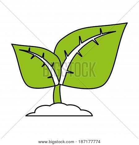 color silhouette image cartoon green leaves with ramifications on growth vector illustration