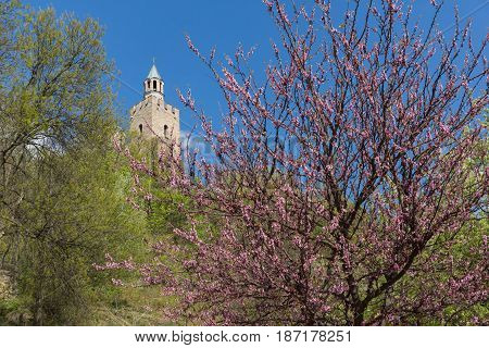 VELIKO TARNOVO, BULGARIA - 9 APRIL 2017: Ruins of The capital city of the Second Bulgarian Empire medieval stronghold Tsarevets, Veliko Tarnovo, Bulgaria
