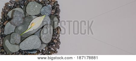 Stacked Rocks with a flower on top