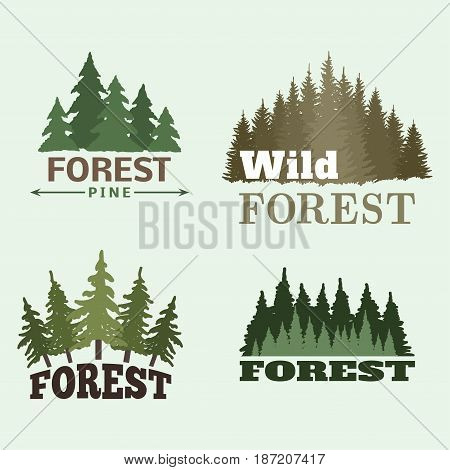 Tree outdoor travel green silhouette forest logo coniferous natural badge tops pine spruce branch cedar and plant leaf abstract stem drawing vector illustration. Panorama scene horizon decoration.
