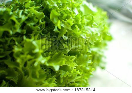 Raw Organic Green Frisee Salad Close Up.