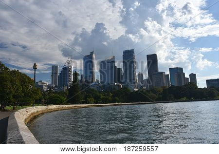 View of Sydney's skyline and Sydney Harbour from Royal Botanic Garden.