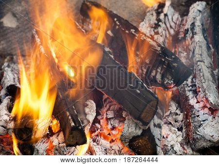 Fire flames background. Firewood is burning in the grill in the open air.