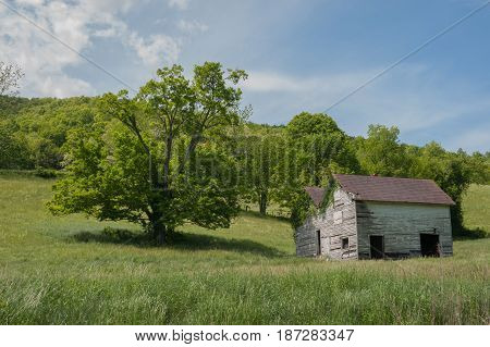 Abandoned Building