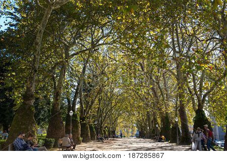 PORTO PORTUGAL - OCTOBER 20 2015: People walking in park Cordoaria in the old town of Porto Portugal