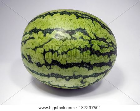 Fresh Organic Summer Watermelon sideways on Display
