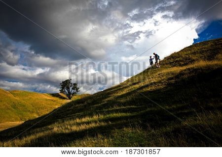 Father and son on a hilltop, holding hands.