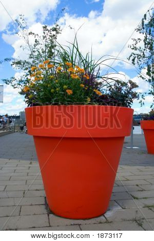 Blumen In einem Topf