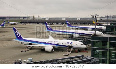 Airplanes Dock At Haneda Airport In Tokyo, Japan