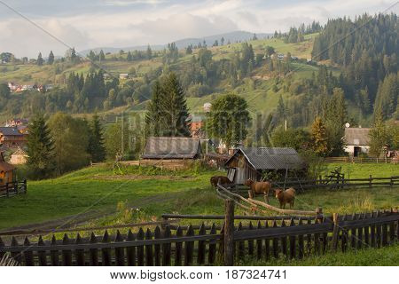 Fairy village in the Carpathians in summer