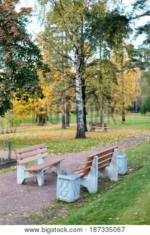 Benches in the autumn park of Sosnovka, St. Petersburg. Soft focus