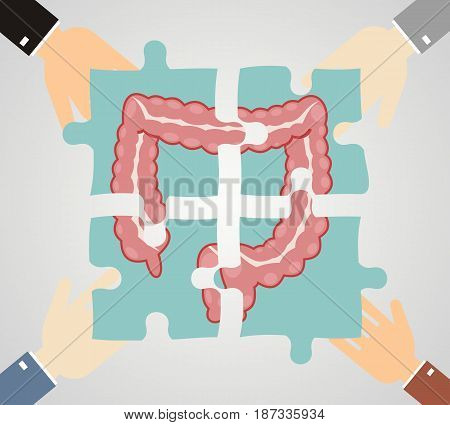 Four hands putting jigsaw puzzle pieces with image of large intestine together. Vector