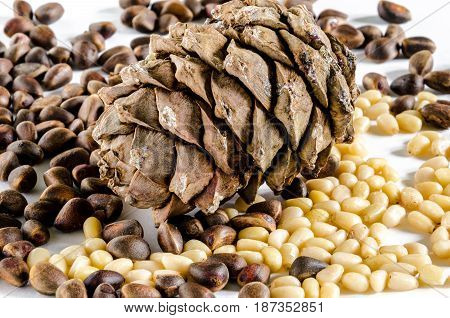 Pile of pine nuts and pine cone isolated on white background.