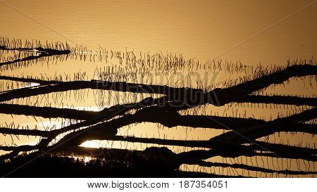 Vintage saltmine at sunset with orange water