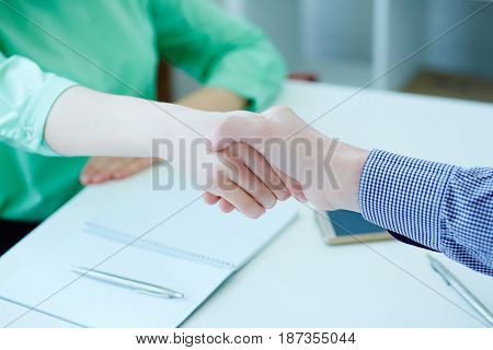 Male and female handshake in office. Serious business and partnership concept. Partners made deal sealed with handclasp.