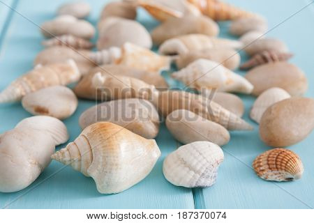 Seashells and pebbles pattern on blue wood, sea vacation collection background on wooden planks, selective focus
