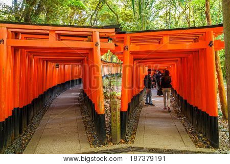 Kyoto, Japan - April 28, 2017: two dense and parallel rows of gates called Senbon Torii or thousands of torii gates of Fushimi Inari taisha, the most important shinto sanctuary and the oldest in Kyoto