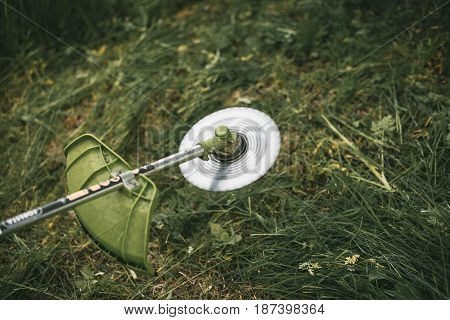 Gasoline Trimmer Head On Green Grass. Round Trimmer Blade.