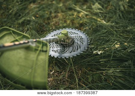 Gasoline Trimmer Head On Green Grass. Round Trimmer Blade.