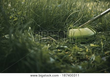 Gasoline Trimmer Head On Green Grass. Round Trimmer Blade.