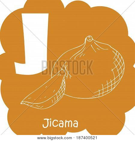 Alphabet for kids with vegetables. Healthy letter abc J-Jicama