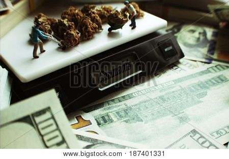 Cannabis Profits On Scale High Quality Stock Photo