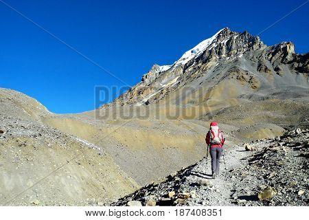 Young girl on the way to Thorong La Pass on Annapurna Circuit Trek Nepal.
