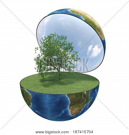 Green Peace Earth ( version 01 )