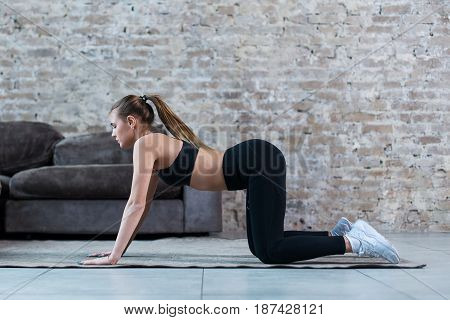 Pretty slim sportswoman practicing gymnastics doing exercises standing on all fours indoors.