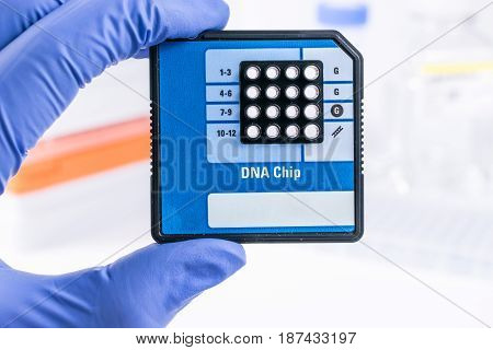 Analysis of DNA sequences in genetic laboratory Medical Research in Genetics and DNA Science