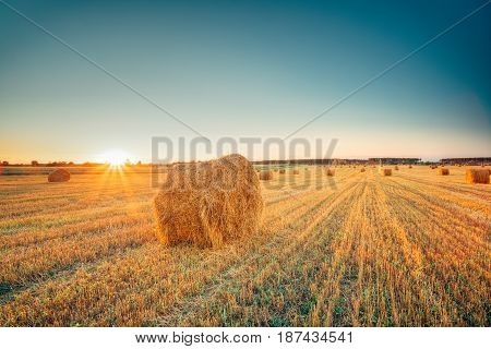 Rural Landscape Field Meadow With Hay Bales After Harvest In Sunny Evening At Sunset Or Sunrise In Late Summer. Blue Sunny Sky And Sun With Sunrays.