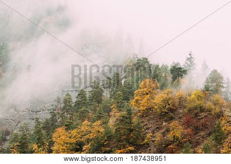 Pines Growing On Rocky Slope Of Mountains. Clouds Fly Low Over Rocks And Forest Autumn Nature Landscape.