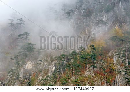 Foggy landsape in HE romanian Carpathians, Europe