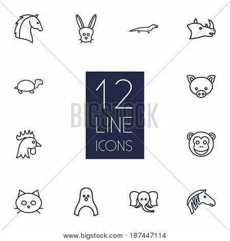Set Of 12 Beast Outline Icons Set.Collection Of Cock, Turtle, Mammal And Other Elements.