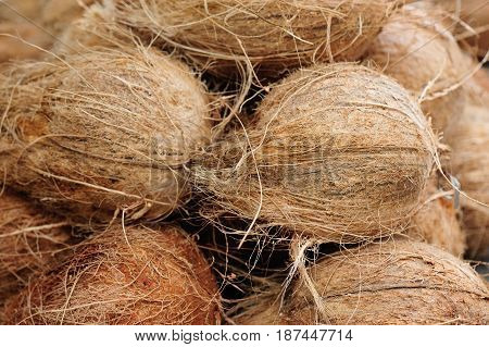 closeup of fresh coconut fruits selling at market