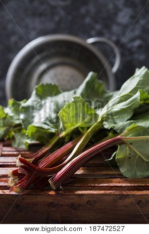 Rhubarb On A Dark Background
