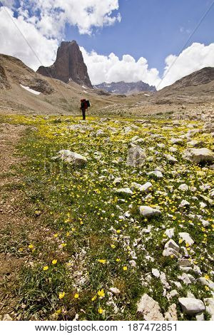 hiker standing on colorful yellow flowers and green grass with stones, and big rock on Background in Turkey mountains, Aladaglar