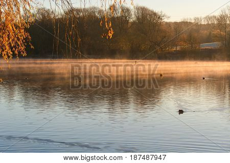 Morning with fog and sun reflection at a small lake in Heiligenhaus Germany.