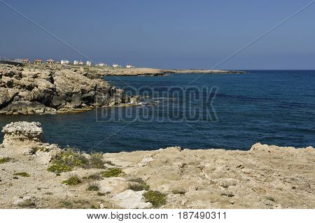 Volcano stone and some flowers at the beach and clear blue water and blue sky outside the village Lapta in the North of Cyprus