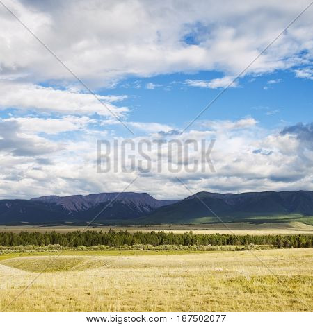 Kurai Steppe Landscape. Altai, Russia